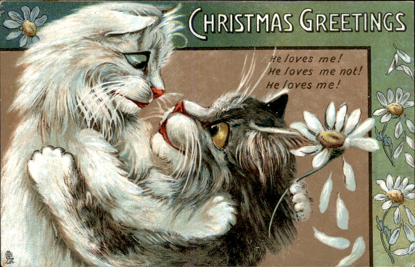 Maurice Boulanger Cats  daisies Christmas Tuck c1900s-10s Vintage Postcard bhn