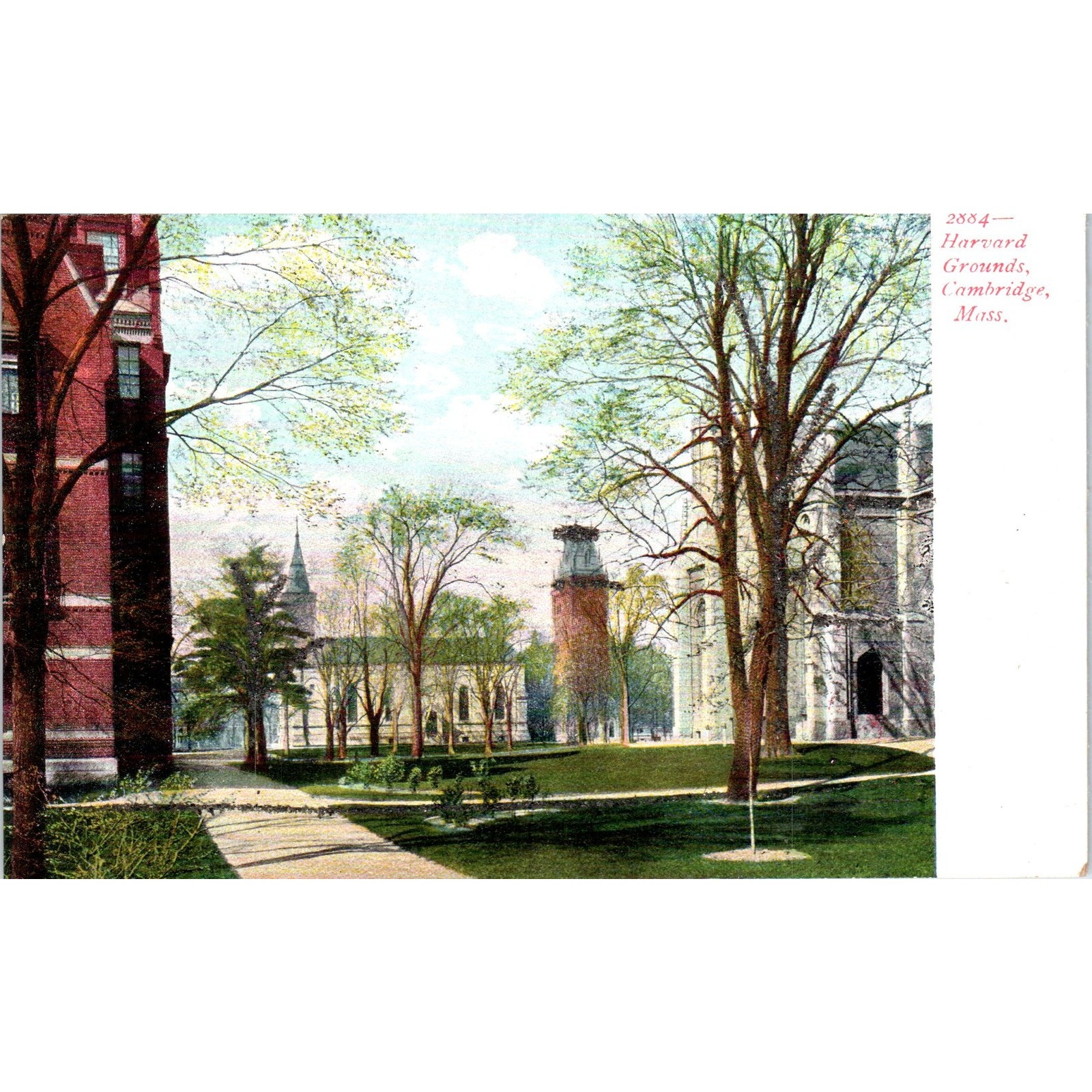 c1905 Harvard Grounds Cambridge MA Original Postcard PC9