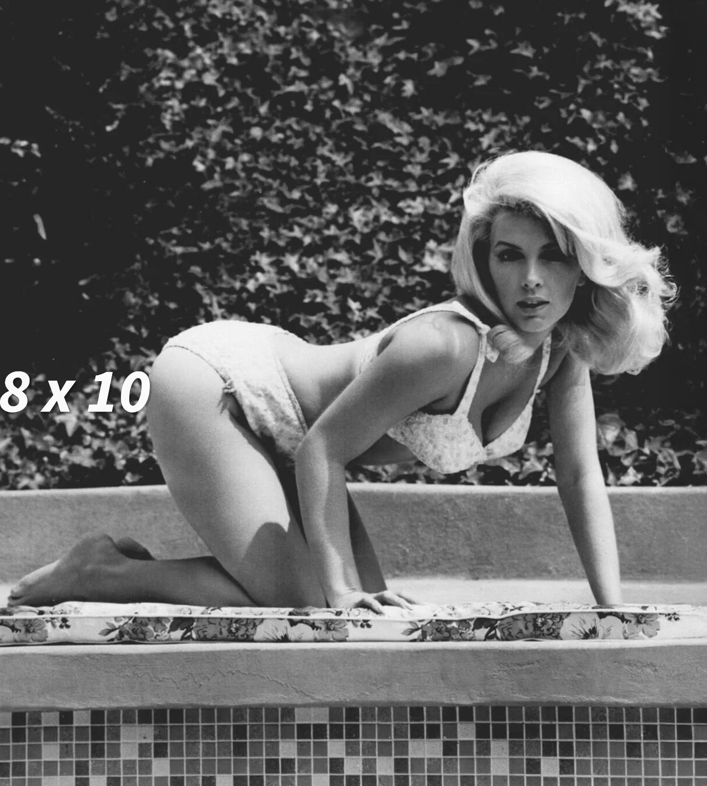 STELLA STEVENS 8x10 Photo Gorgeous Hollywood Actress High Quality Art Print RP