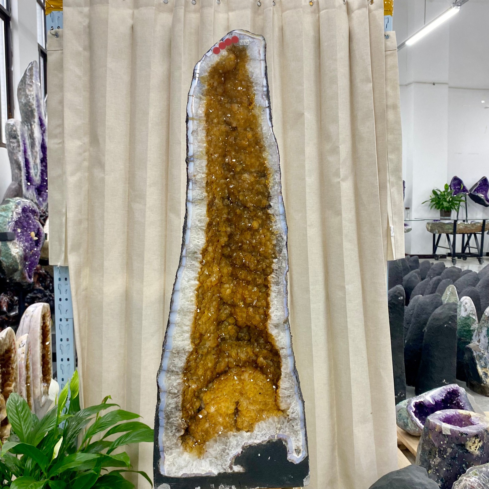 108.88LB Large Natural citrine geode cluster quartz crystal cathedrals specimen
