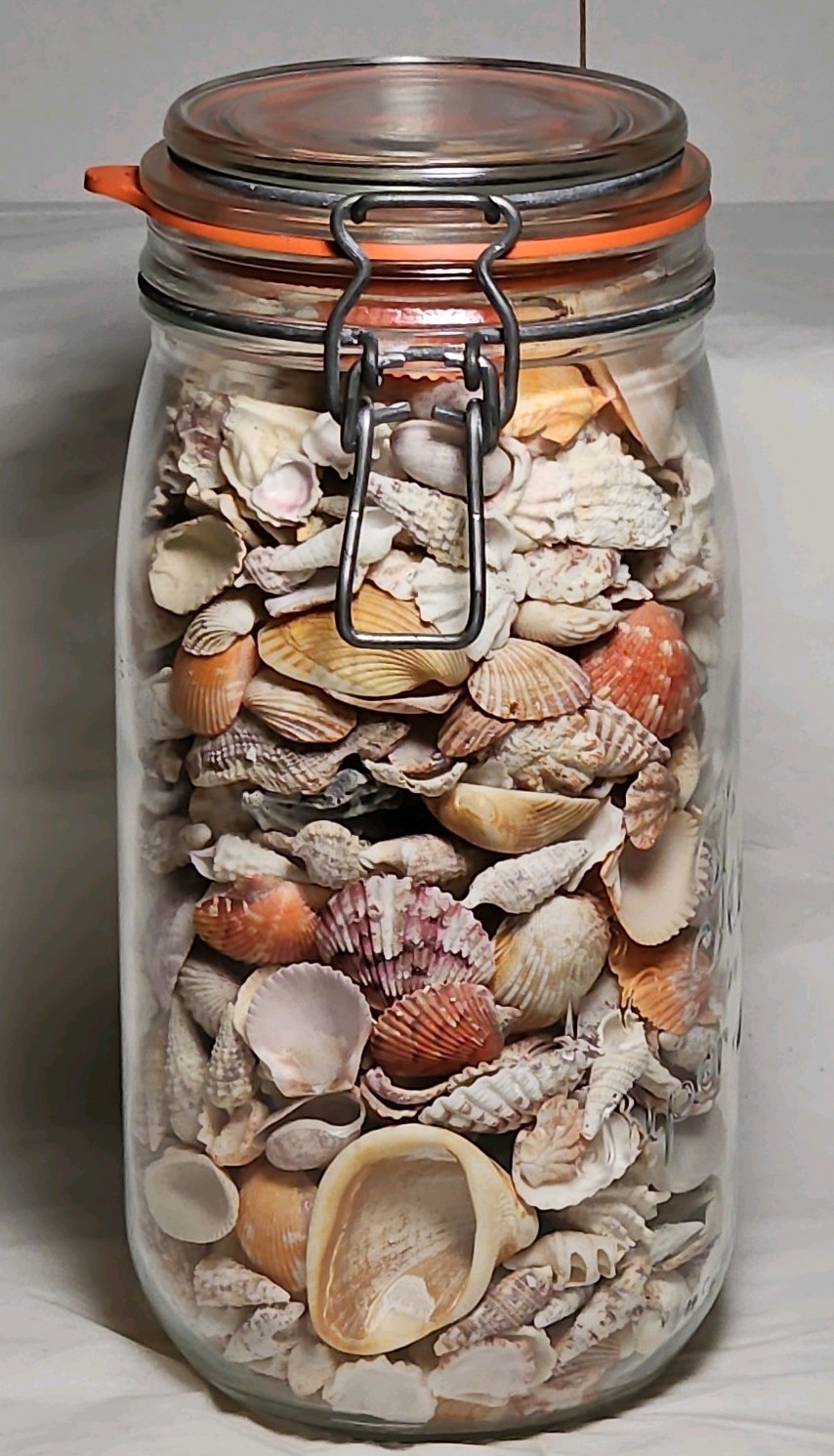 Vintage Triomphe France Le Parfait Super Glass Jar w/Florida Seashells, 4\