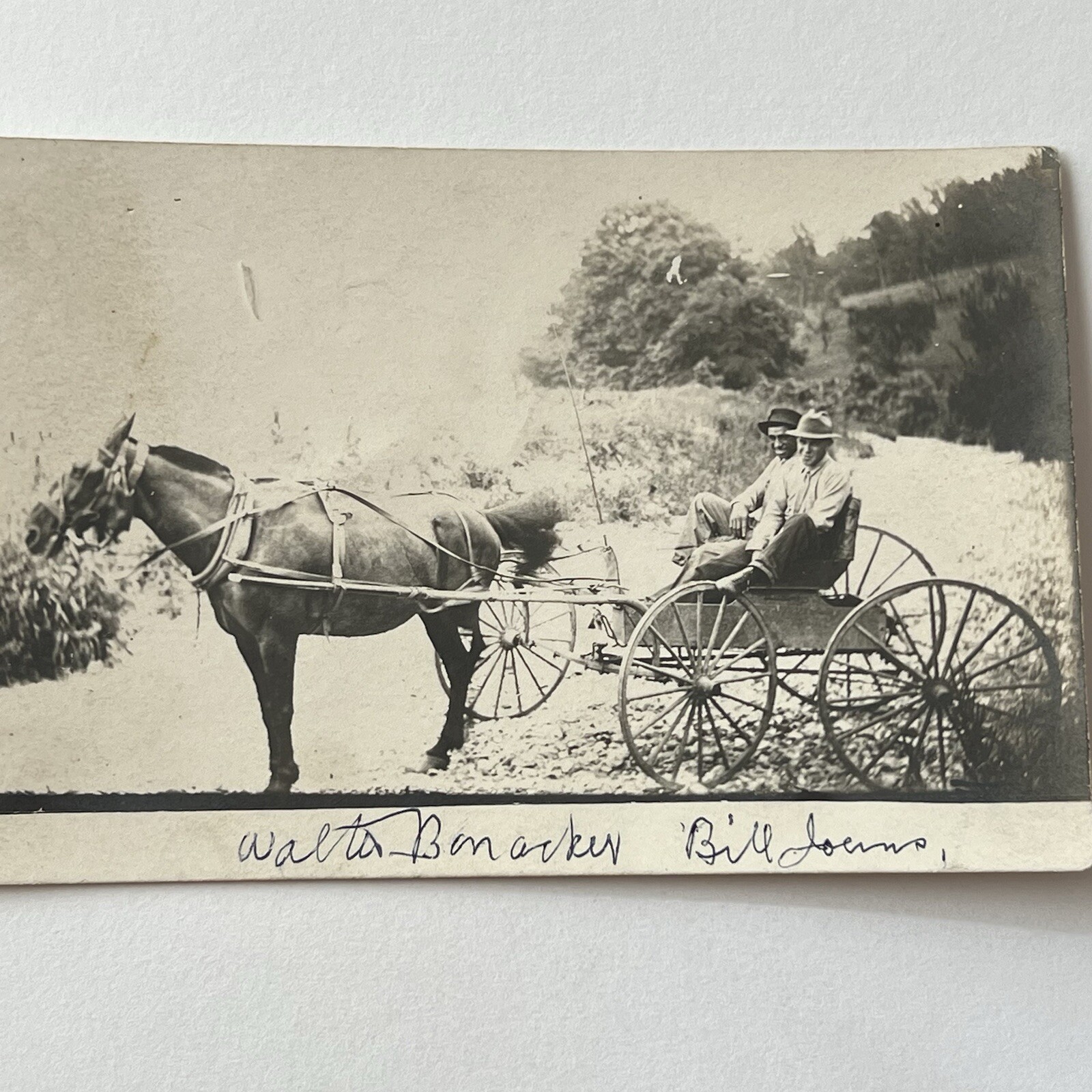 Antique RPPC Real Photograph Postcard Horse Wagon Black African American Man