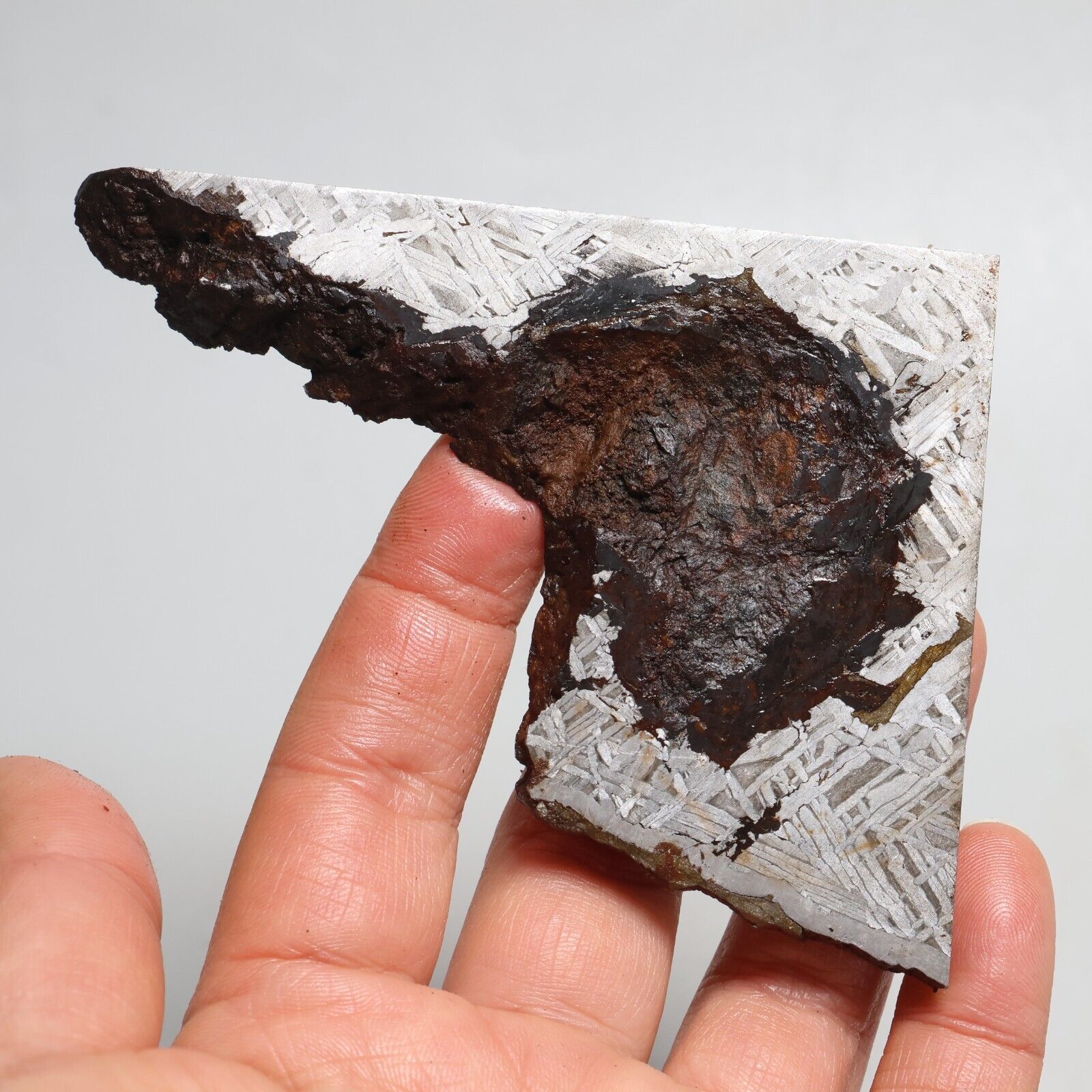 173g Slice meteorite,  Iron Meteorite circular slice,Meteor wish,Collection F278