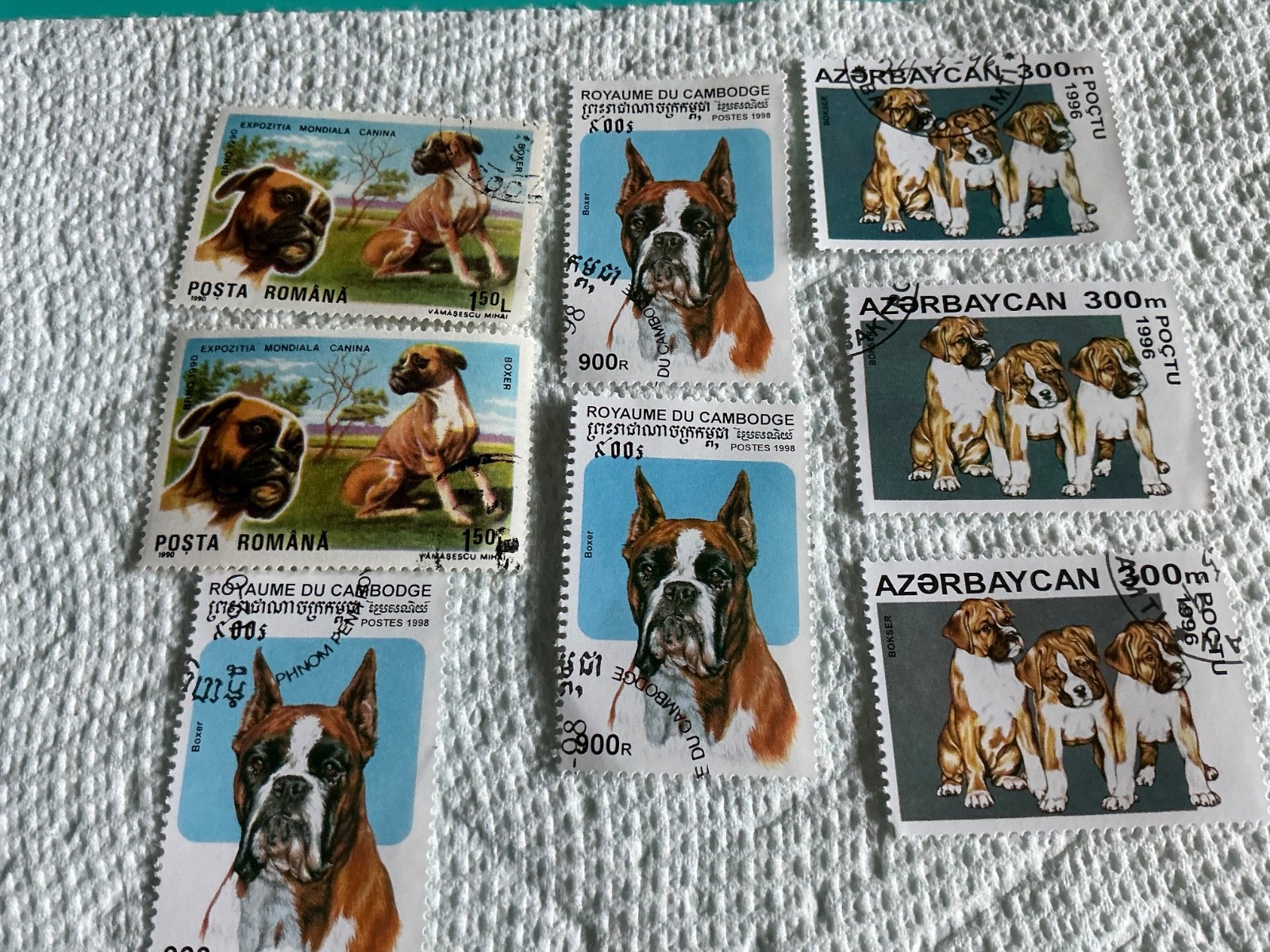 BOXER DOG BOXER DOG