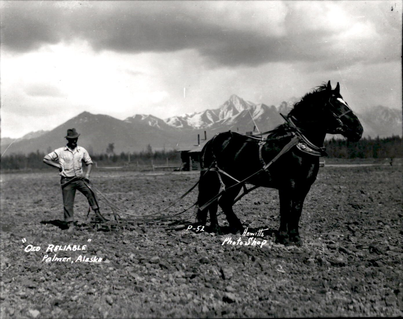 LG85 2nd Gen Restrike Photo OLD RELIABLE Palmer Alaska Farmer with Strong Horse LG85 2nd Gen Restrike Photo OLD RELIABLE Palmer Alaska Farmer with Strong Horse
