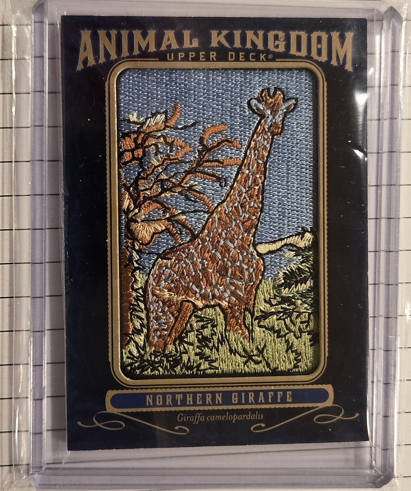 2019 UD Goodwin Animal Kingdom Northern Giraffe Print Run 1 in2400 Packs Rare