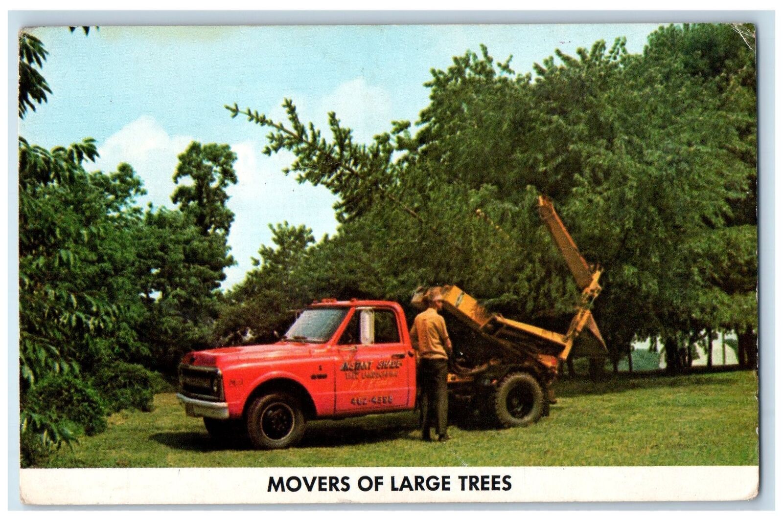 Freehold New Jersey NJ Postcard Instant Shade Tree Landscaping Mover c1960's