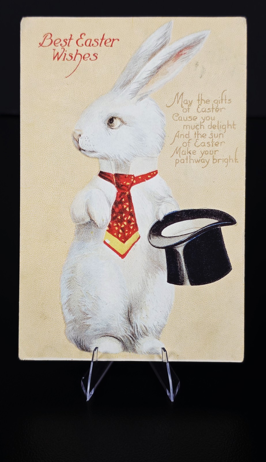 Antique 1910 Easter Bunny Postcard Magician Top Hat IAP Co Posted NY