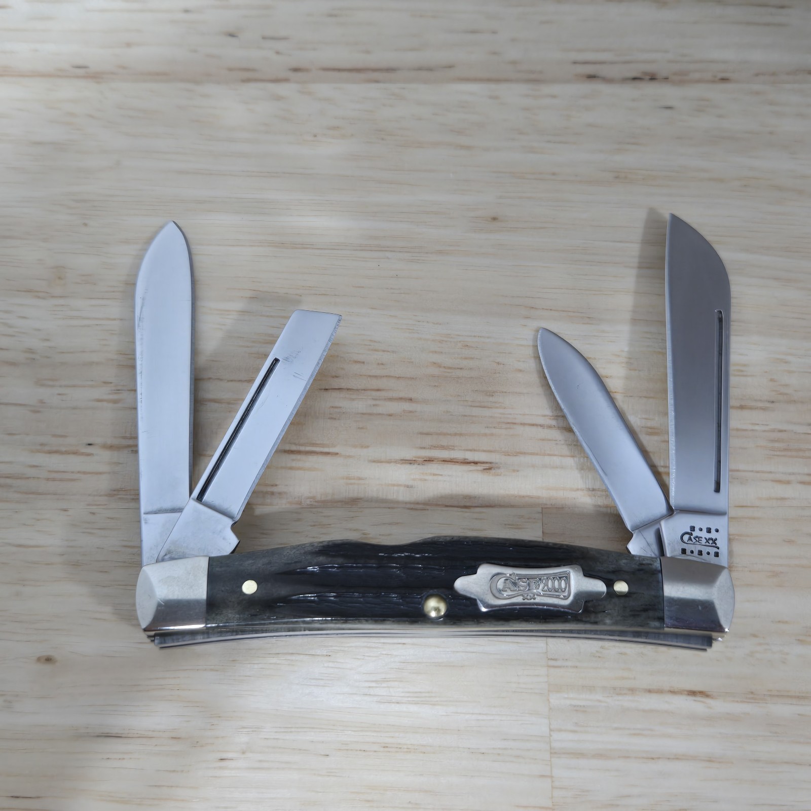 2001 Case XX 64052 SS  Grey Bone Congress  Pocket Knife