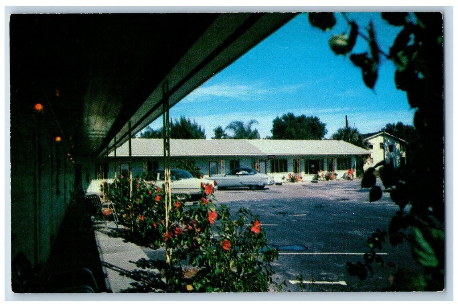 Tampa Florida Postcard Coral Motel Hillsboro Ave. Exterior c1960 Vintage Antique