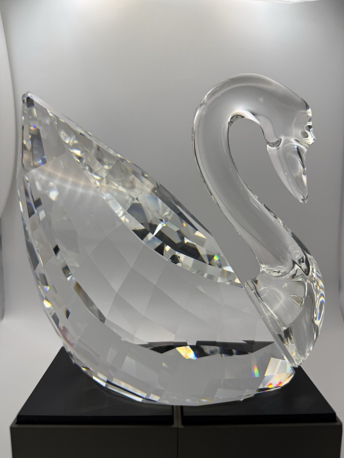 Swarovski Soulmates Maxi Swan 6