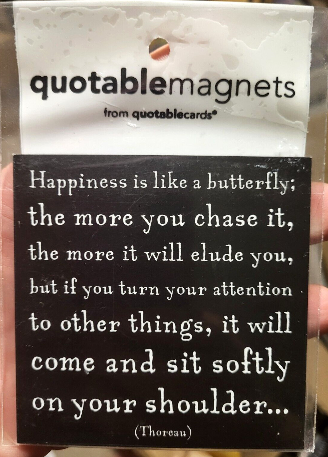 HAPPINESS is a Butterfly  Quotable Magnets Thoreau Fridge Magnet