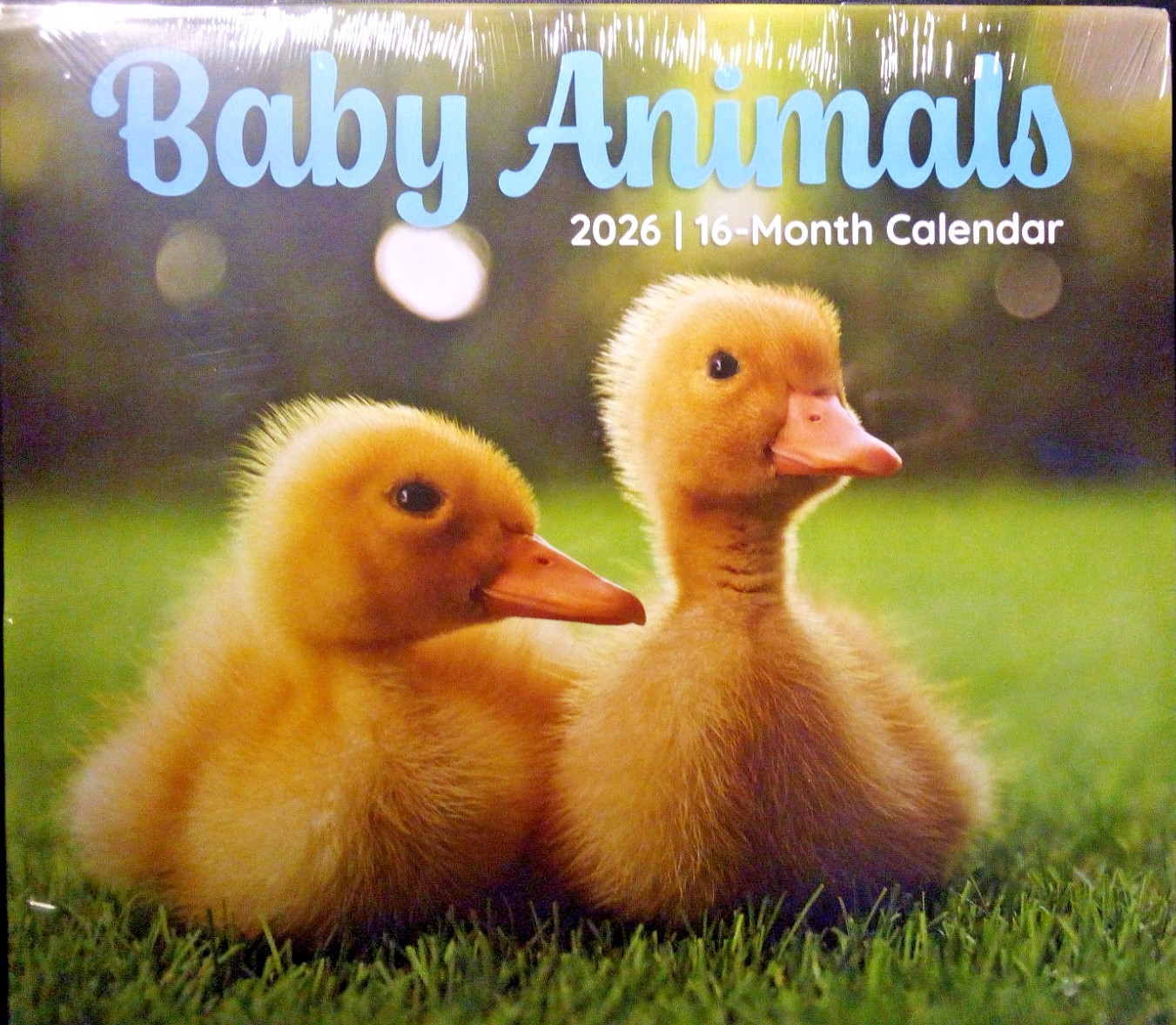 2026 Baby Animals 16 Month Wall Calendar 11