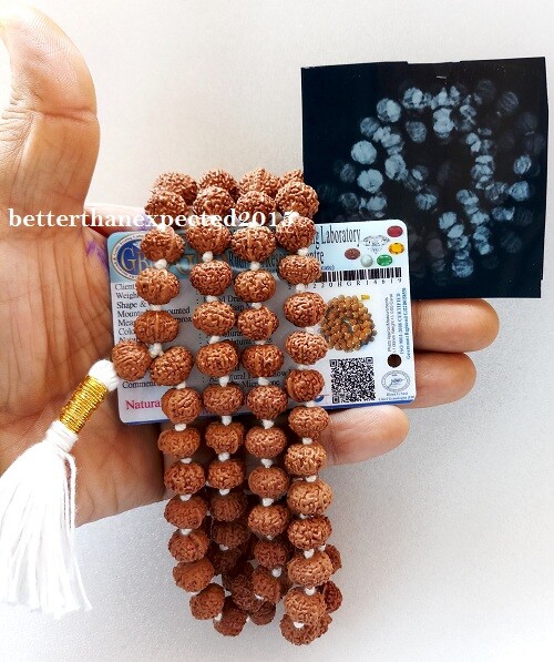 GANESH GANESHA RUDRAKSHA OM KANTHA GANPATI TRUNK POWER SIDDHA MALA~JAVA~109- LAB