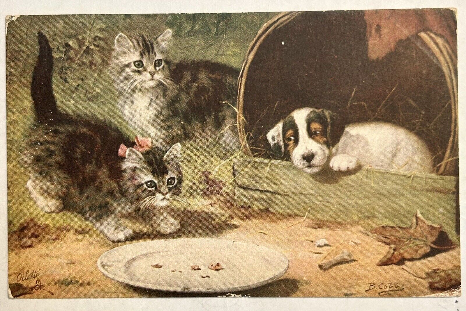 Two Siberian Kittens And Puppy Postcard. Dog And Cats. Hong Kong postmark. 1919