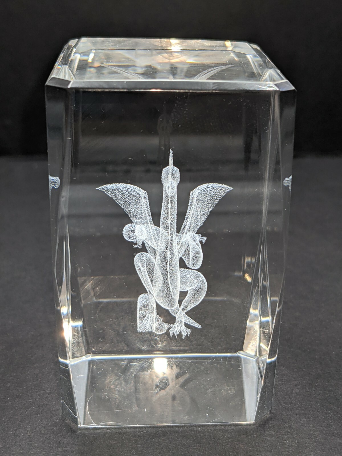 3D Laser Etched Clear Acrylic Lucite Dragon Paperweight 3\