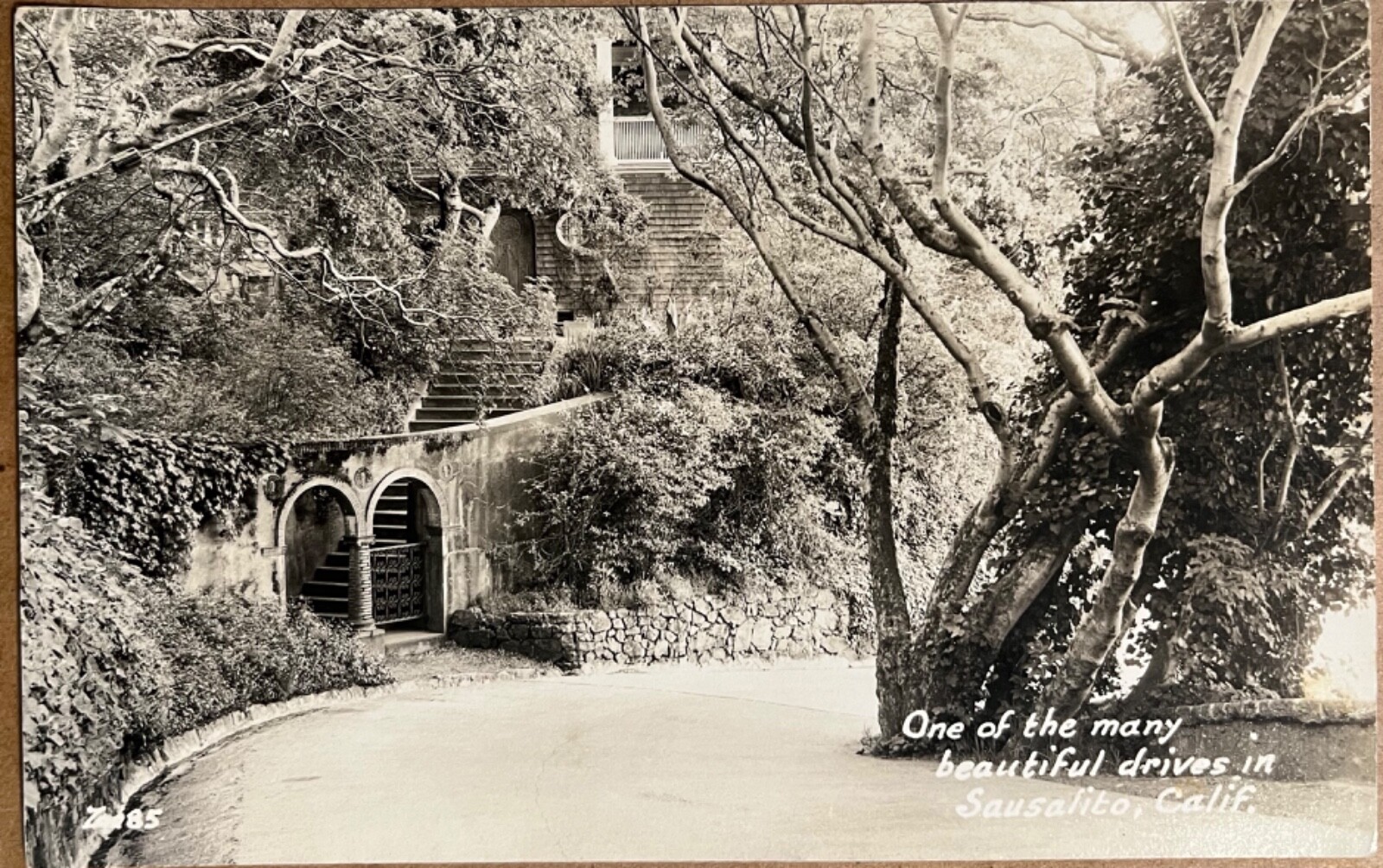 RPPC Sausalito California Beautiful Drive Staircase Real Photo Postcard 1940s