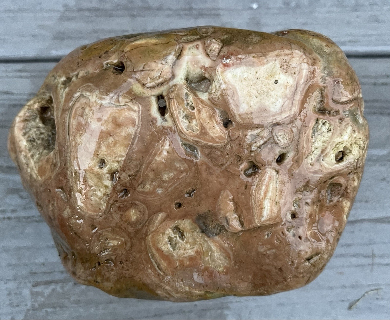 Big Fossiliferous Conglomerate Rock Agate Bands Long Island Glacial Find 3lbs