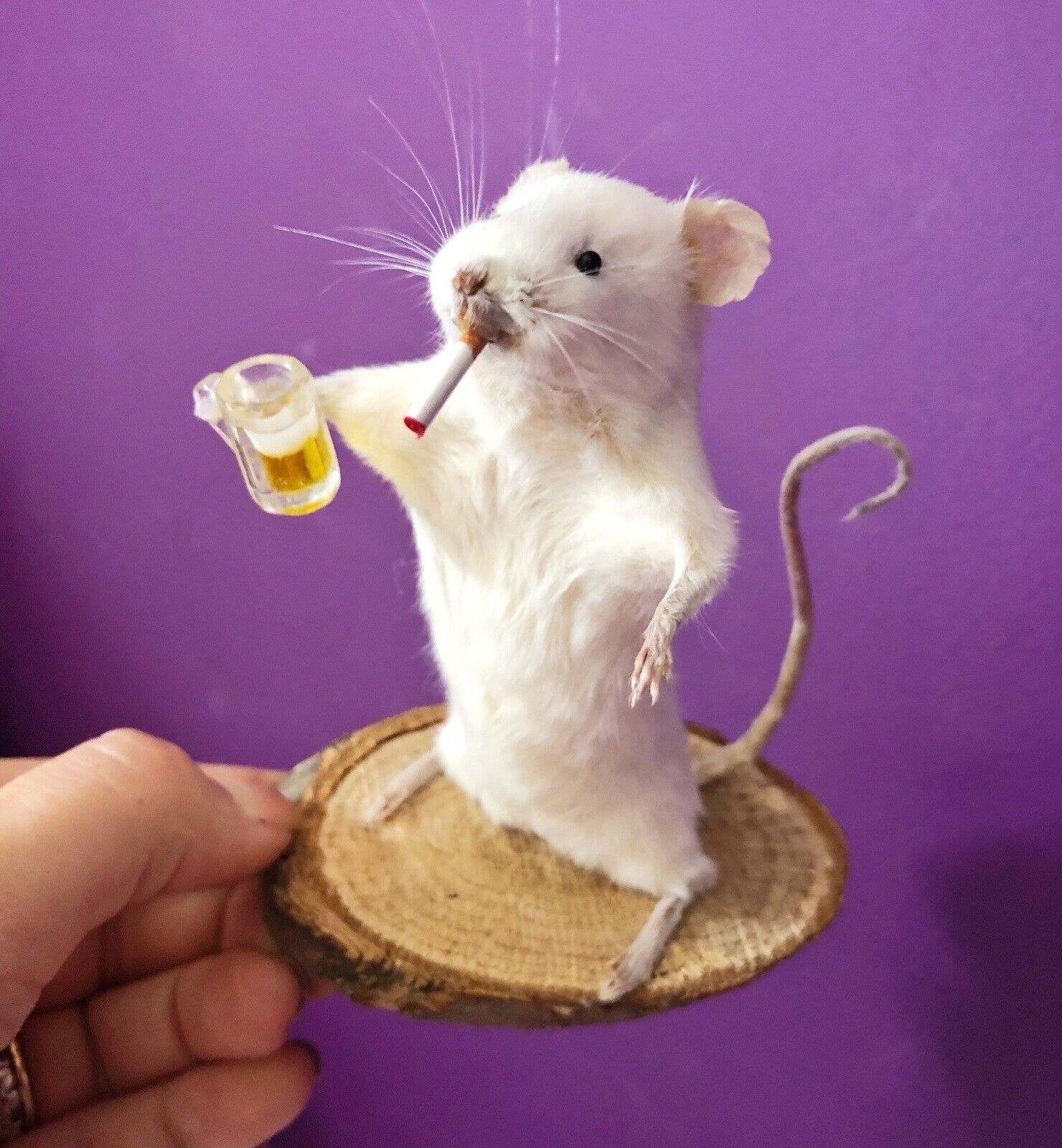 Taxidermy mouse funny beer and cig gift for him unusual smoker oddities