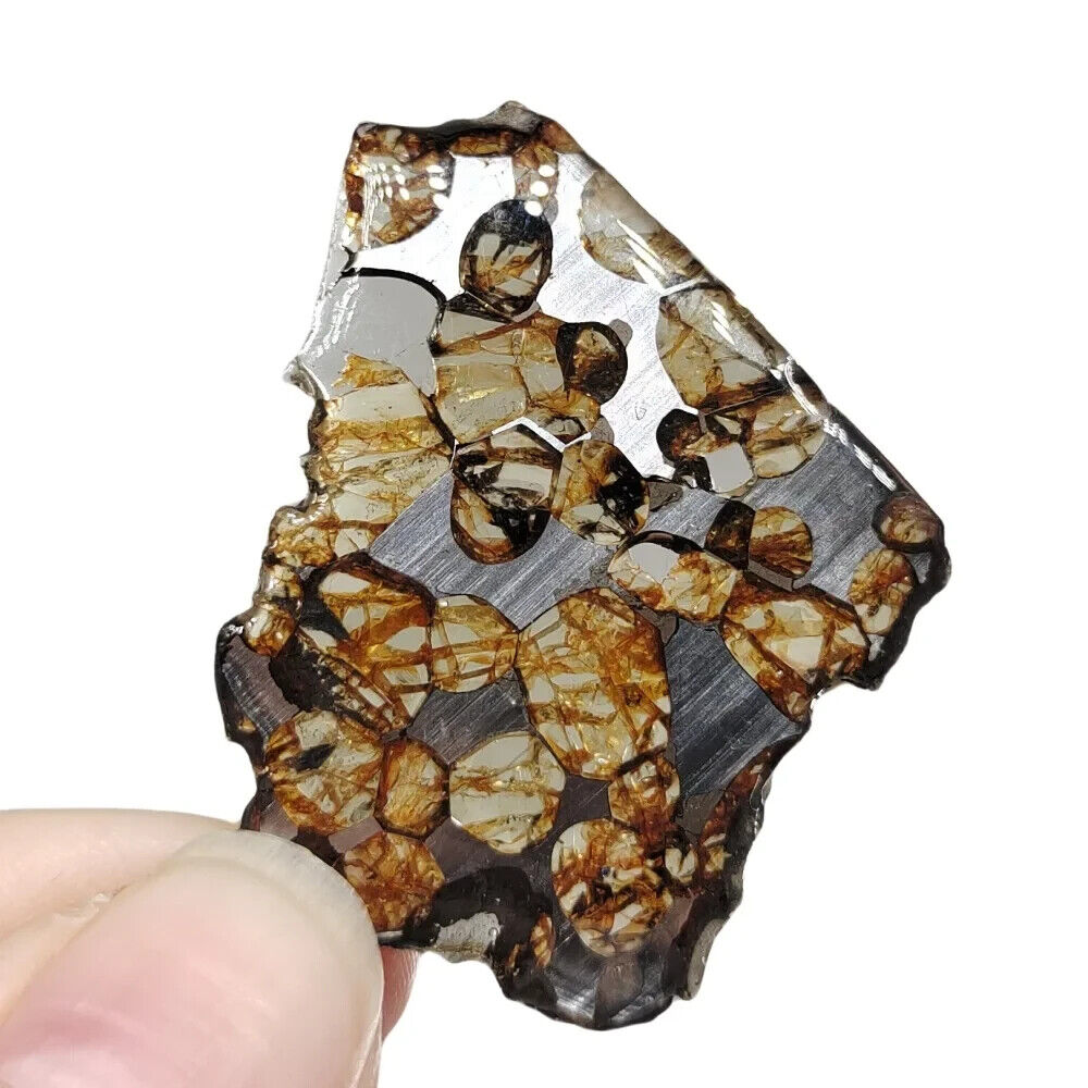 6.9g excellent SERICHO Pallasite olive meteorite slices - from Kenya TA441