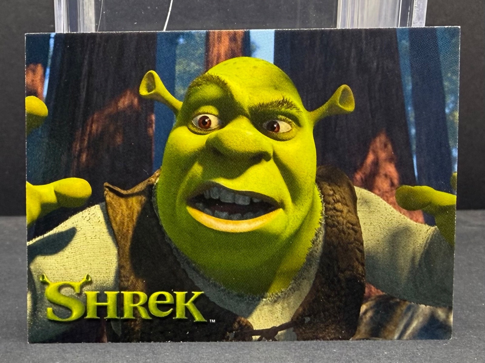 2001 Shrek Card Dart Flipcards #2 Rookie RC