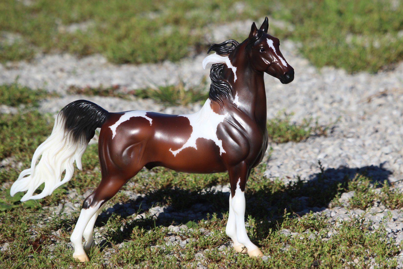 Breyer 2021 SaddleBred Stallion Pinto LIVINGSTON Flagship Special LE model horse