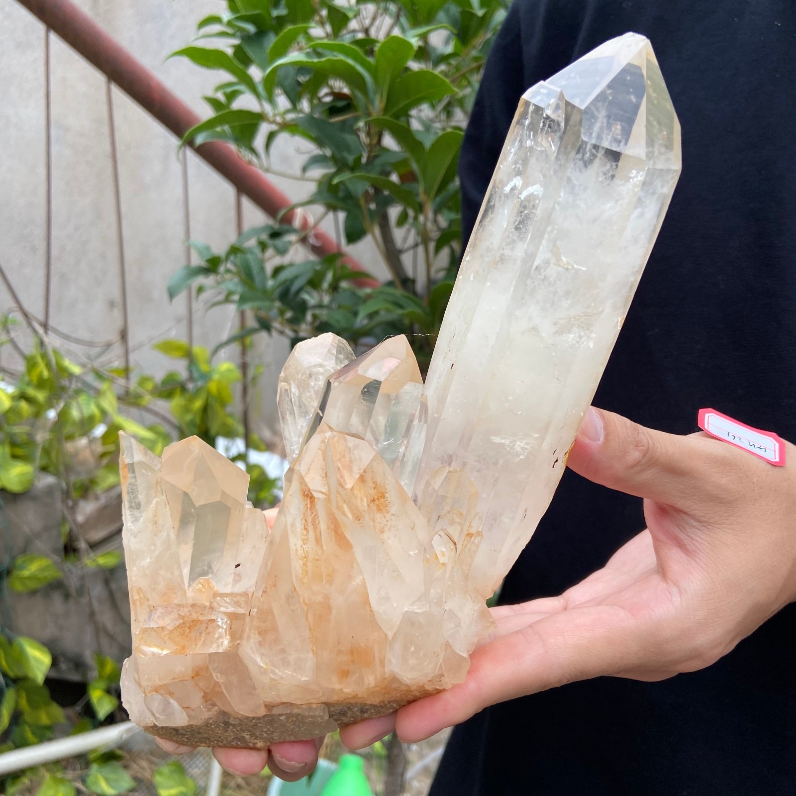 2.7LB A++Large Natural clear white Crystal Himalayan quartz cluster /mineralsls