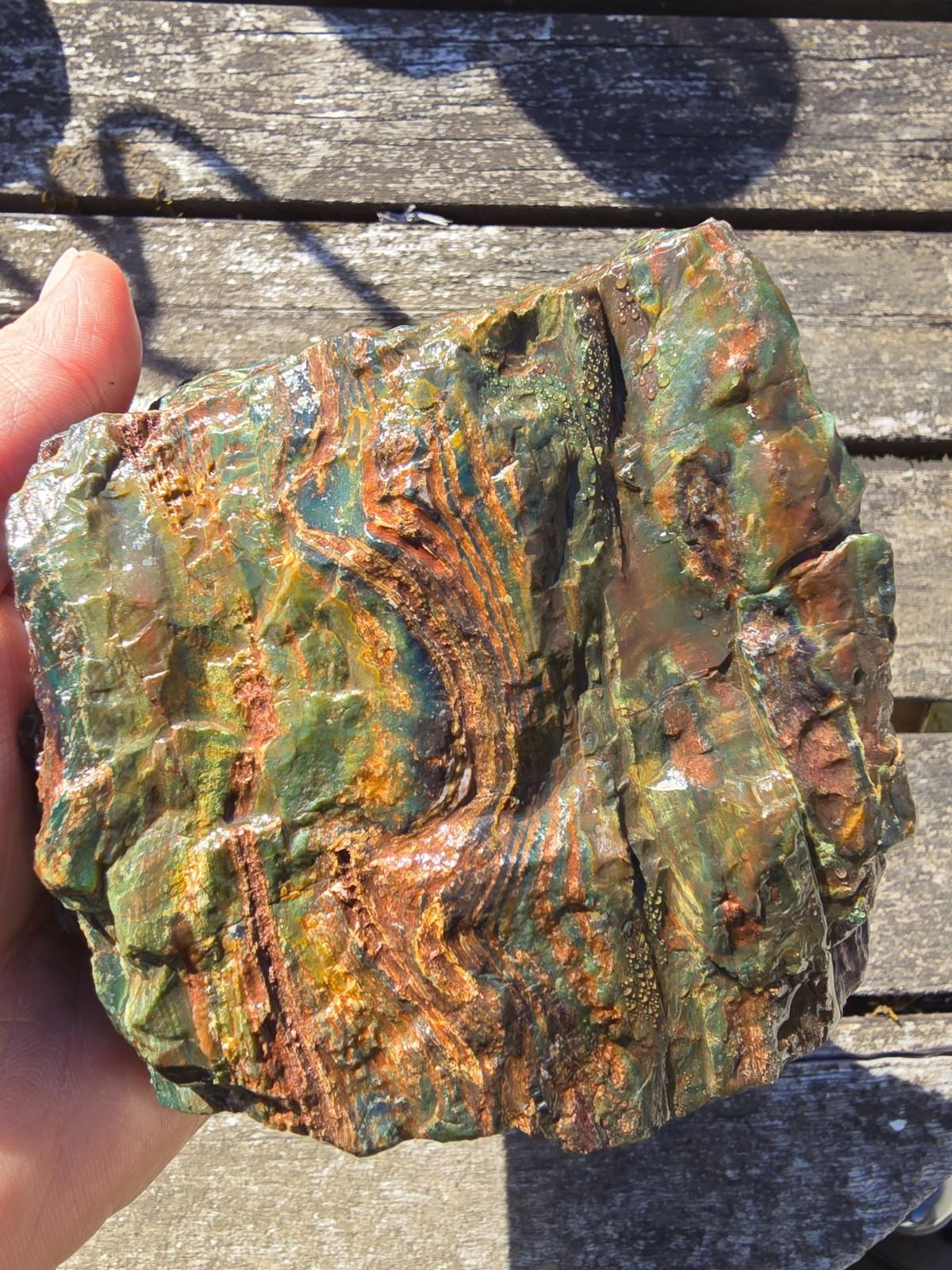 Oregon Petrified Wood Crook County Hampton Butte Area Green Red Rough 1lb 15.8oz