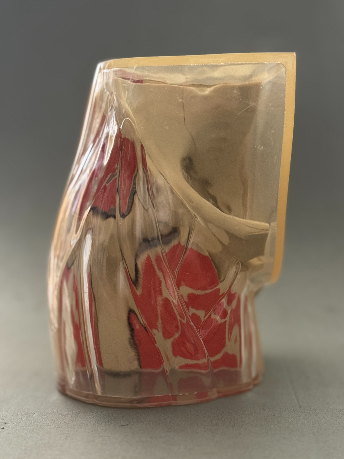 Vintage Merck & Co Medical Anatomical Model Hip Joint Salesman Display 1973