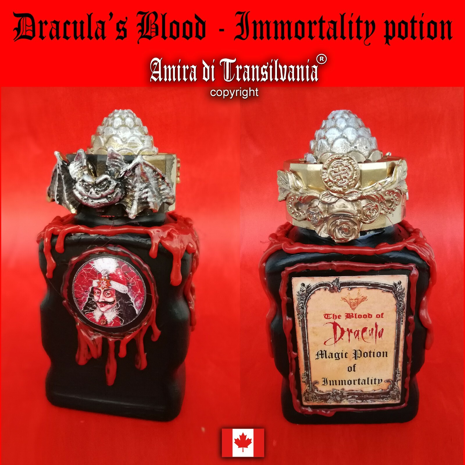 vintage bottle apothecary witchcraft kit magic potion witch set dracula vampire vintage bottle apothecary witchcraft kit magic potion witch set dracula vampire