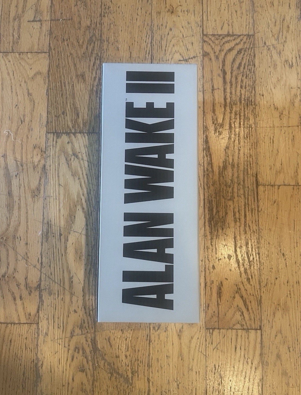 Alan Wake 2 II x Airam Oh Deer Diner Thermos iam8bit BRAND NEW