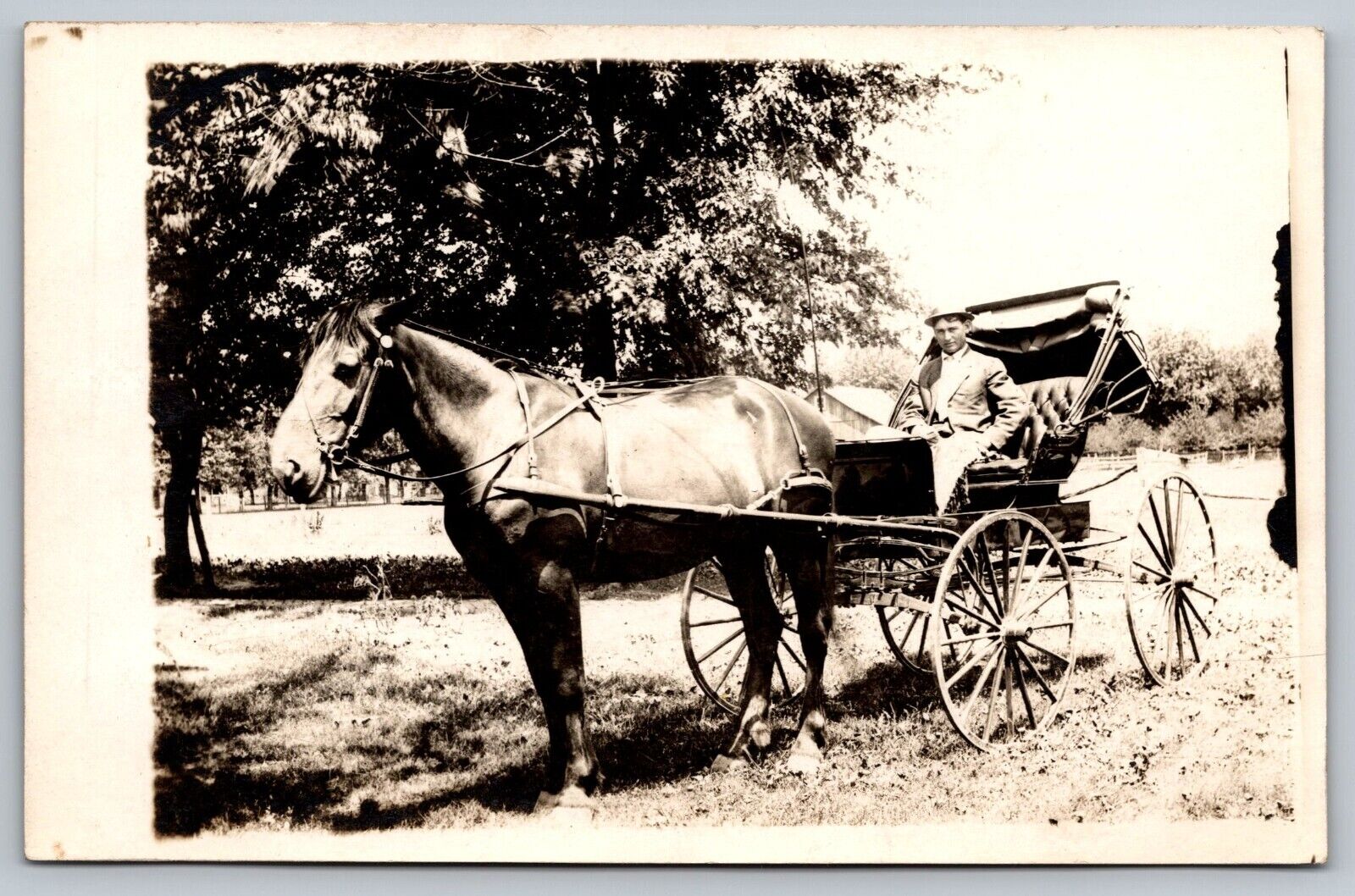 RPPC Well Dressed Man c1915 posing in Four Wheeled Carriage Horse A25