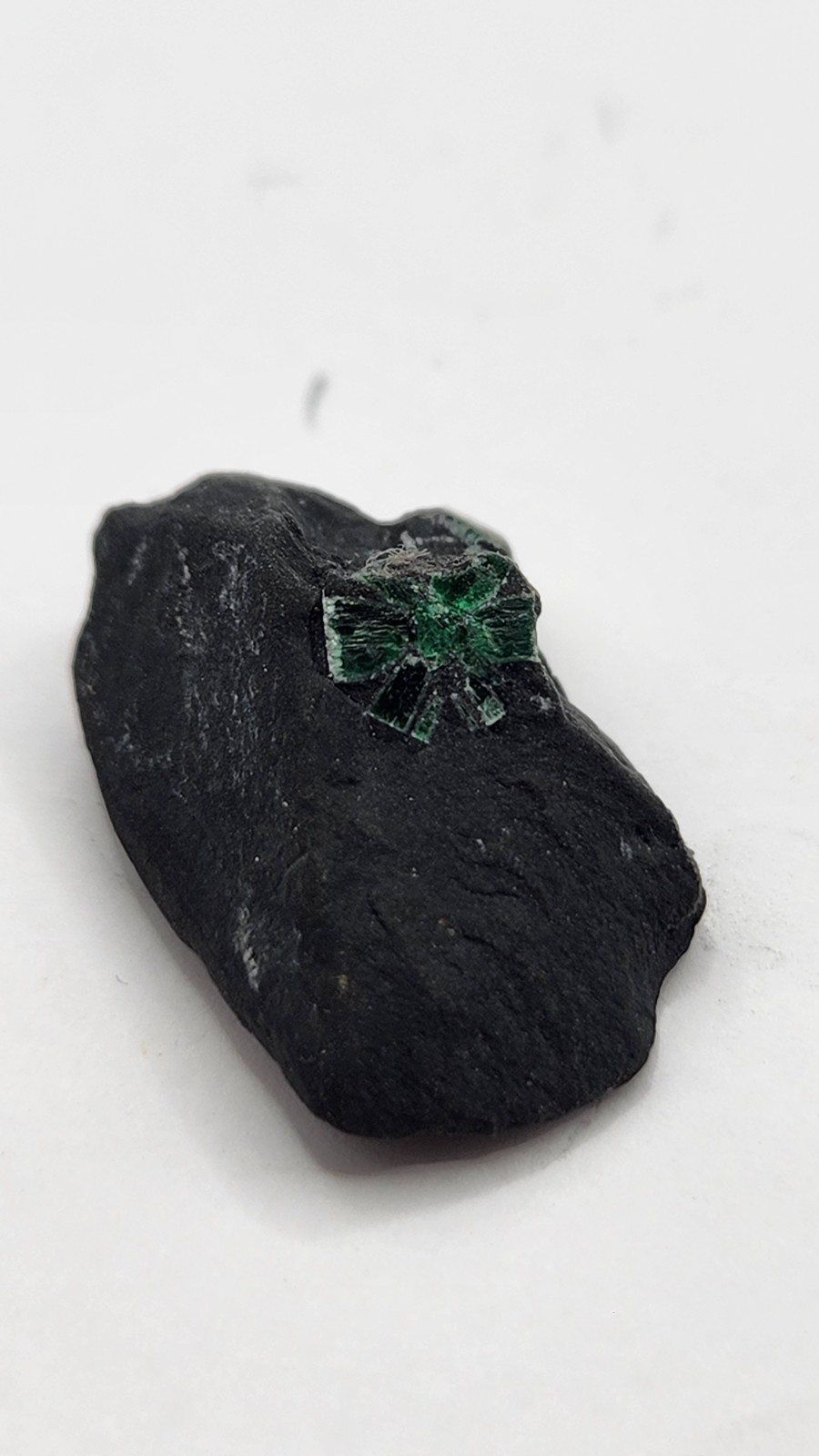 5g Rare Trapiche Emerald Crystal in Black Shale Matrix Specimen Boyaca 26mm