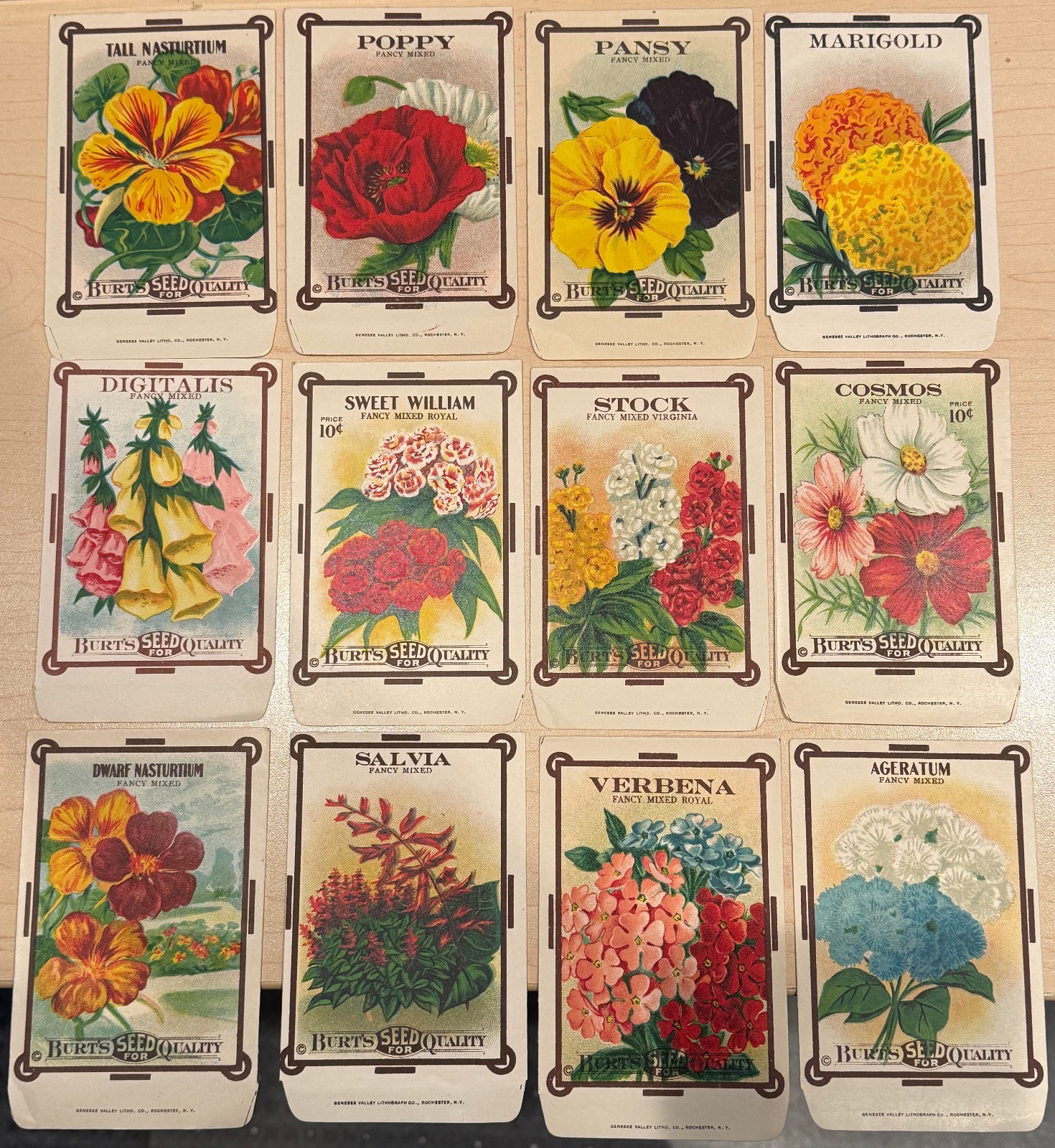 Lot of 12 Vintage William D Burt Seed Packets Envelopes in Color - Circa 1920