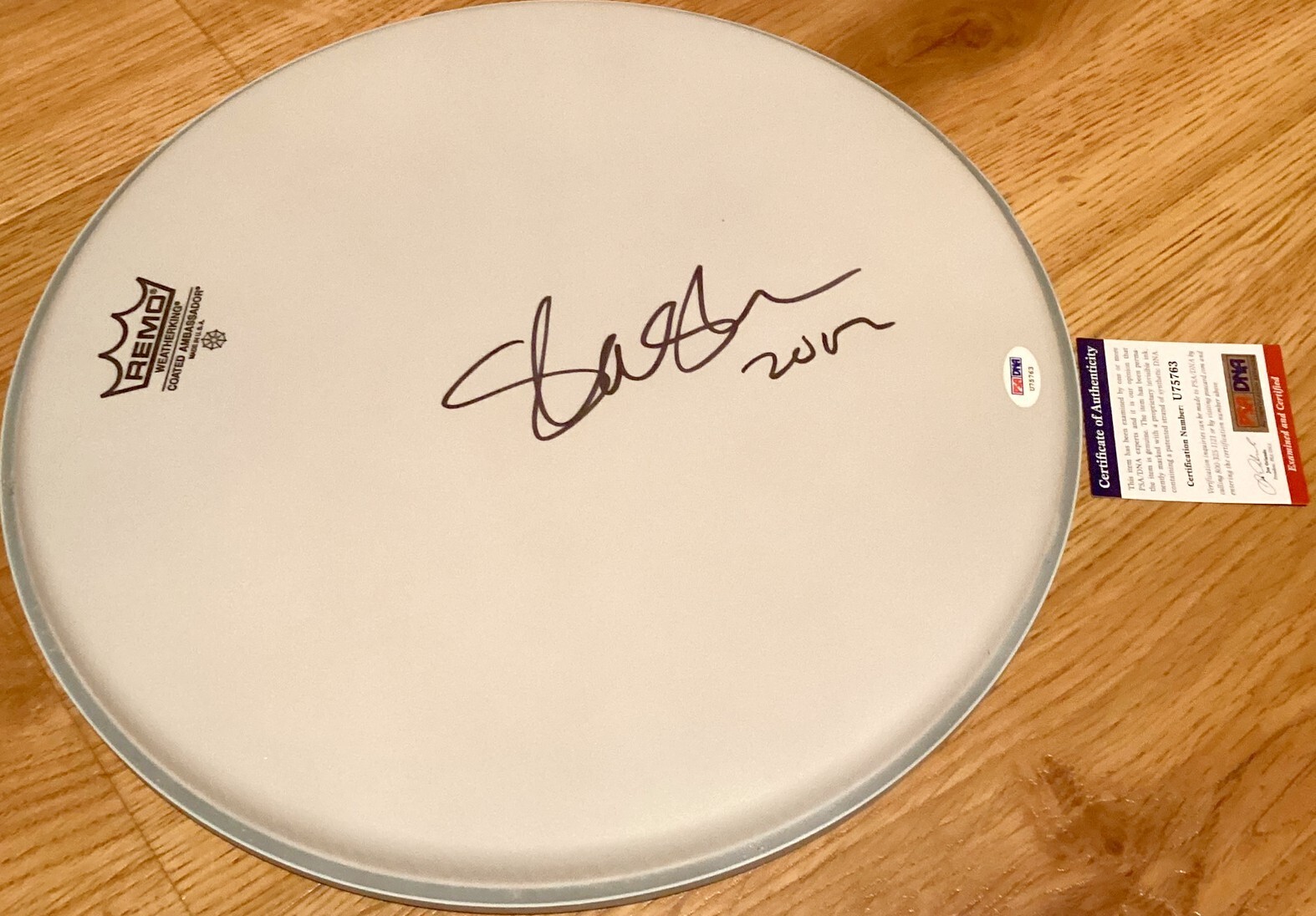 Slash autographed signed Remo 13 inch drumhead dated 2012 PSA/DNA Guns N' Roses