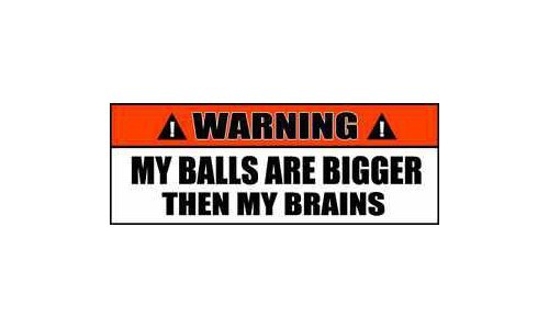 Warning Sign Stickers My Balls are Bigger then My Brains 2 PACK OWS 47 Warning Sign Stickers My Balls are Bigger then My Brains 2 PACK OWS 47