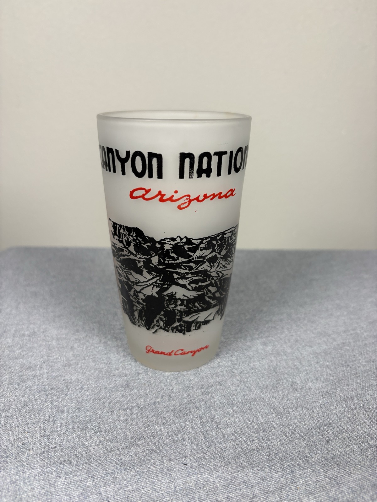 Vintage Grand Canyon National Park Arizona Frosted Glass Souvenir Tumbler