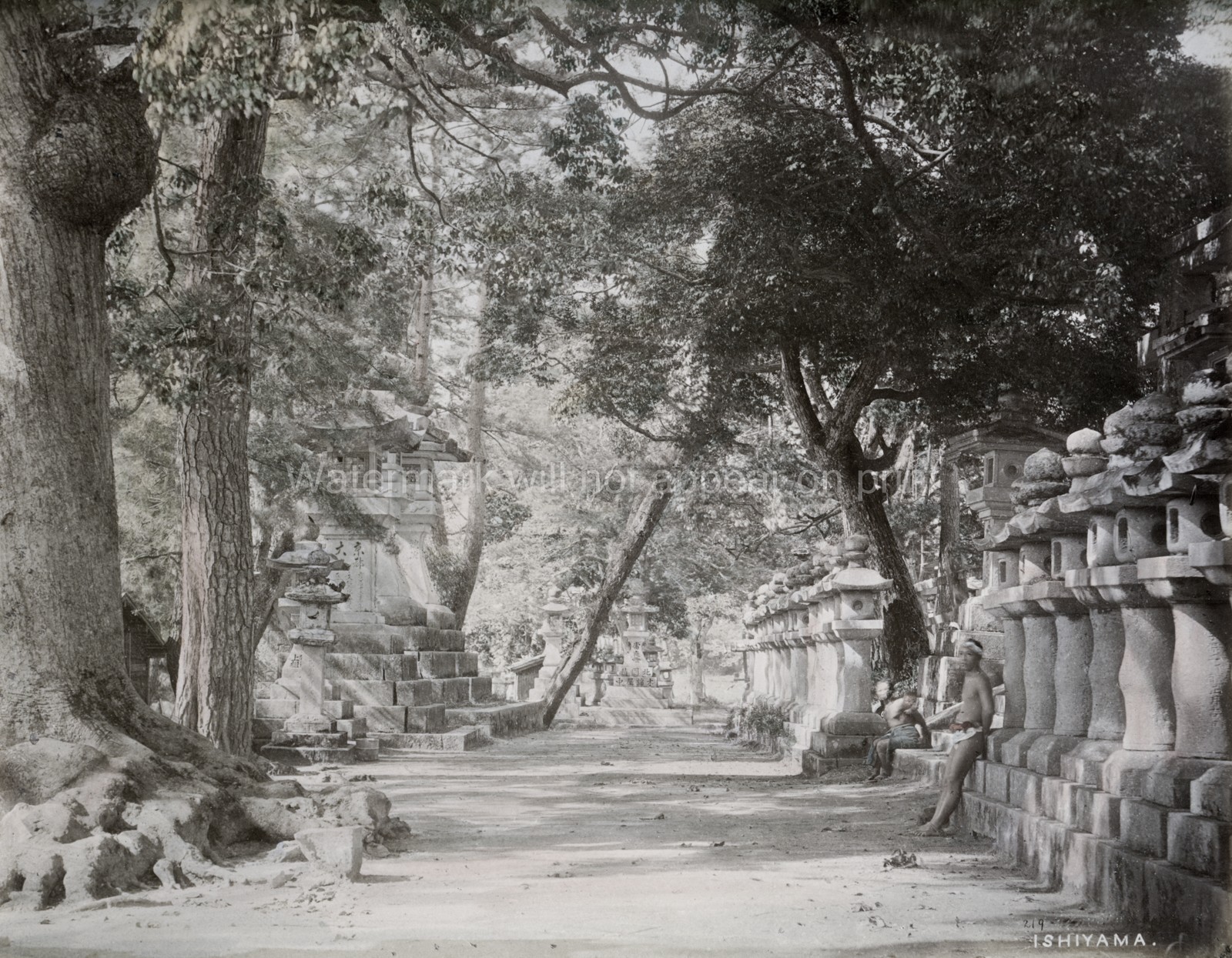 Ishiyama Temple Japan Path Lined Stone Lanterns Vtg. Photo 19thC.