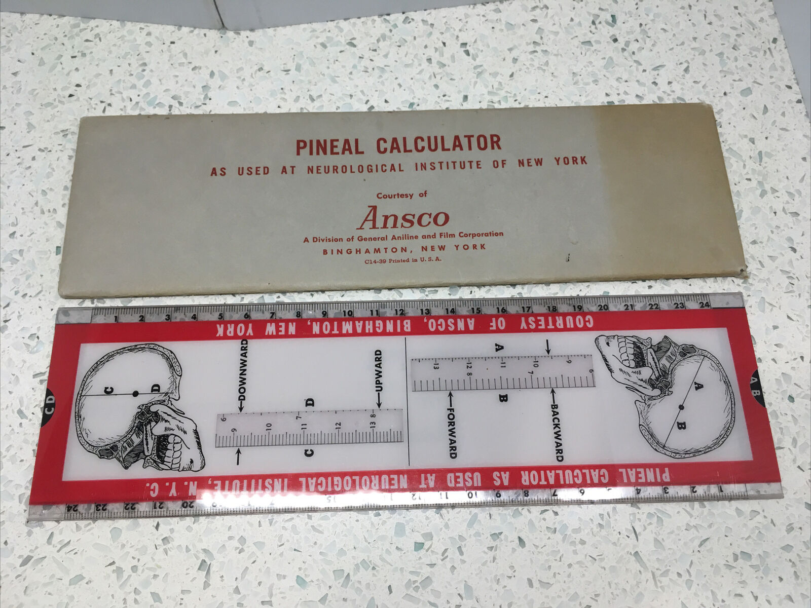 Vintage Ansco Pineal Calculator Slide Rule Medical Oddity Neurological Brain