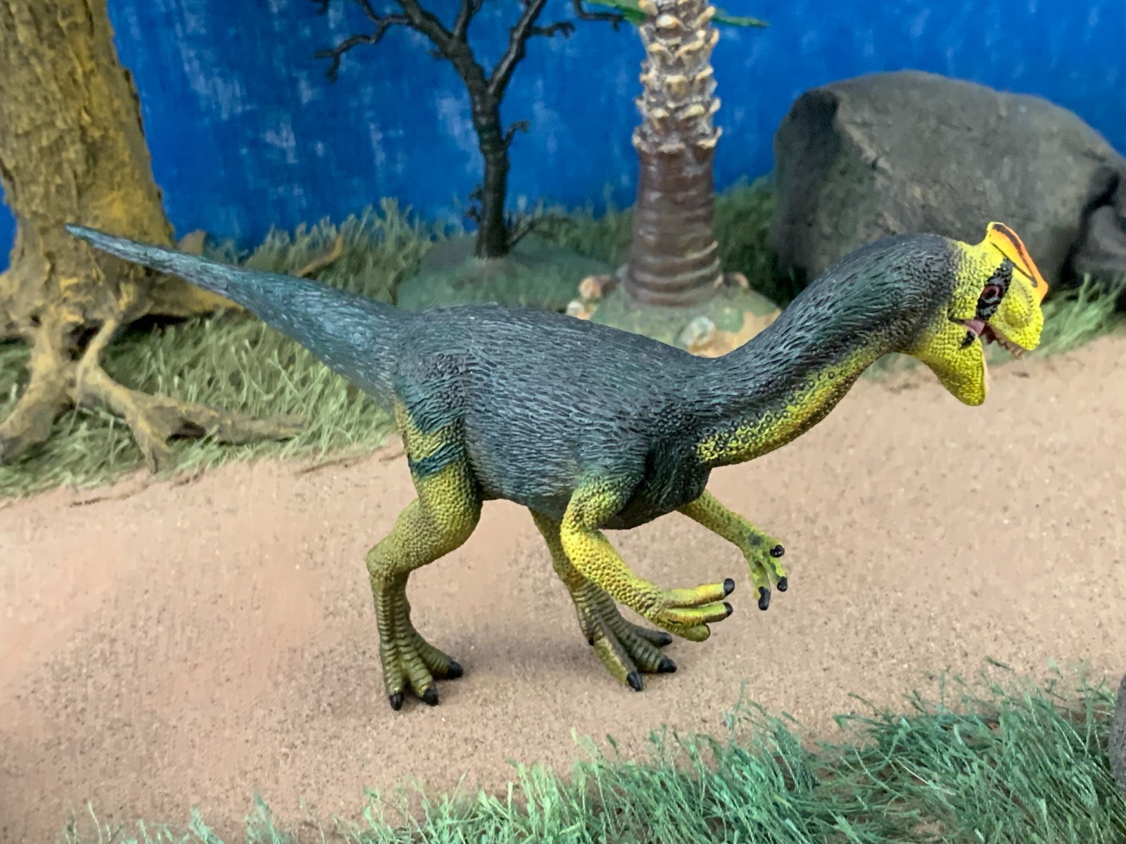CollectA Proceratosaurus Dinosaur Plastic Model 1:40 scale Figure 2011 No.88504