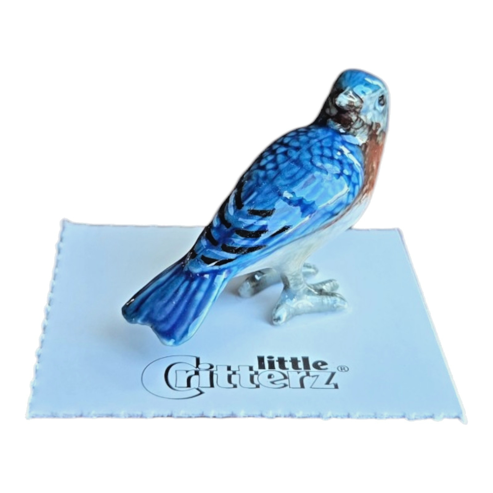 LITTLE CRITTERZ Eastern Bluebird 