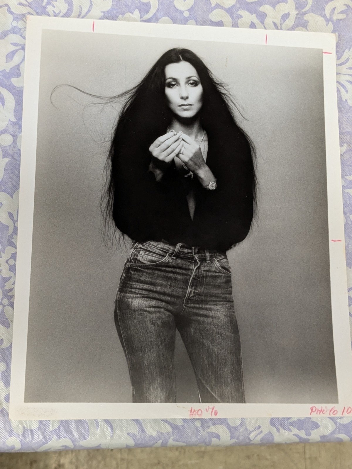 Cher In Blue Jeans Rare Vintage 8x10 Press Proto Cher In Blue Jeans Rare Vintage 8x10 Press Proto