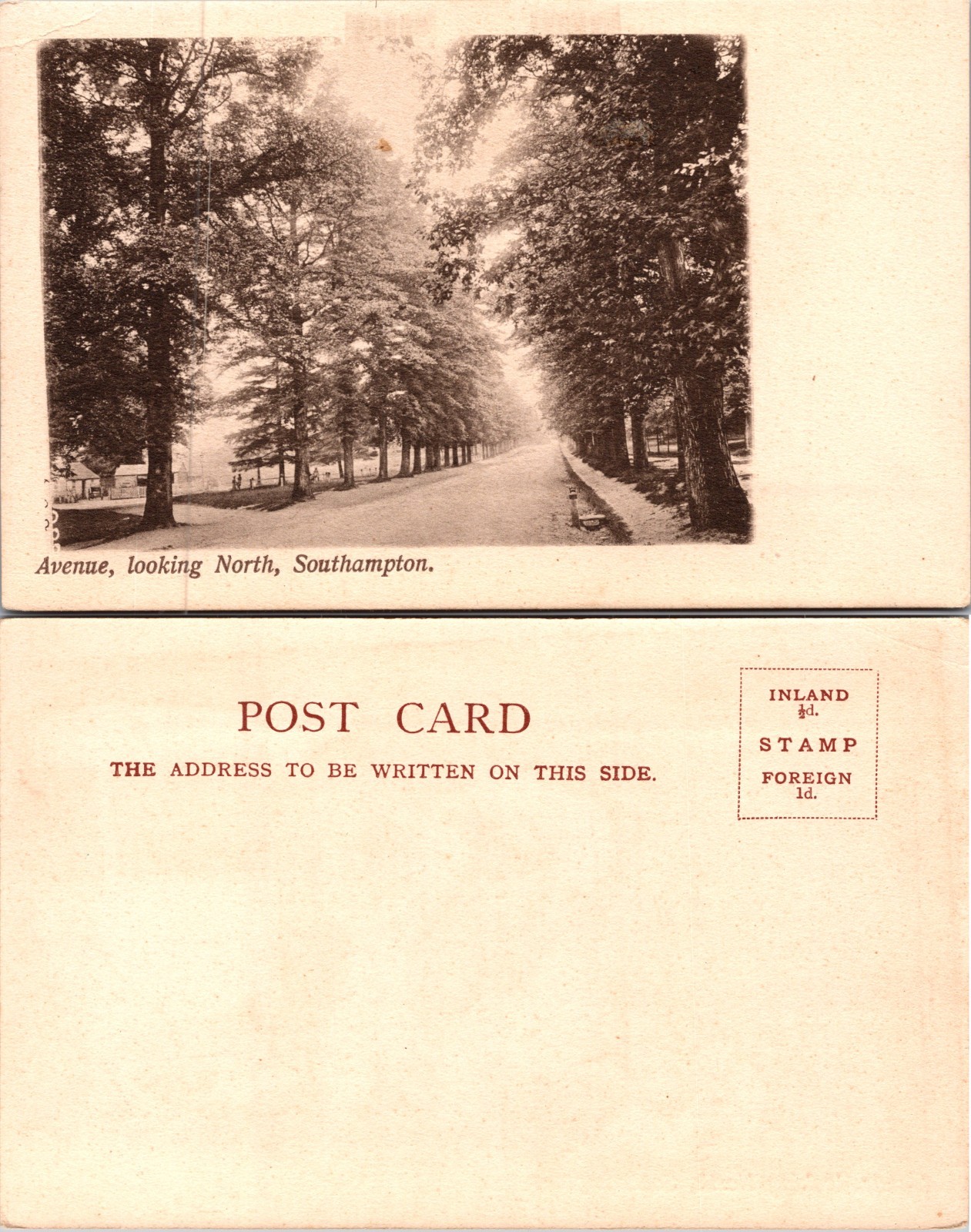 Avenue Looking North Southampton Postcard