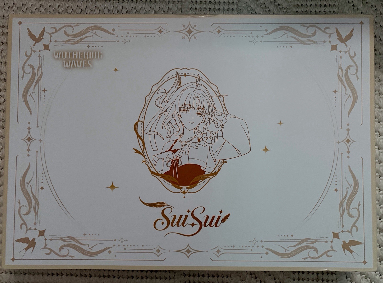 Wuthering Waves SuiSui Character Gift Box Official Kuro Games AX Exclusive