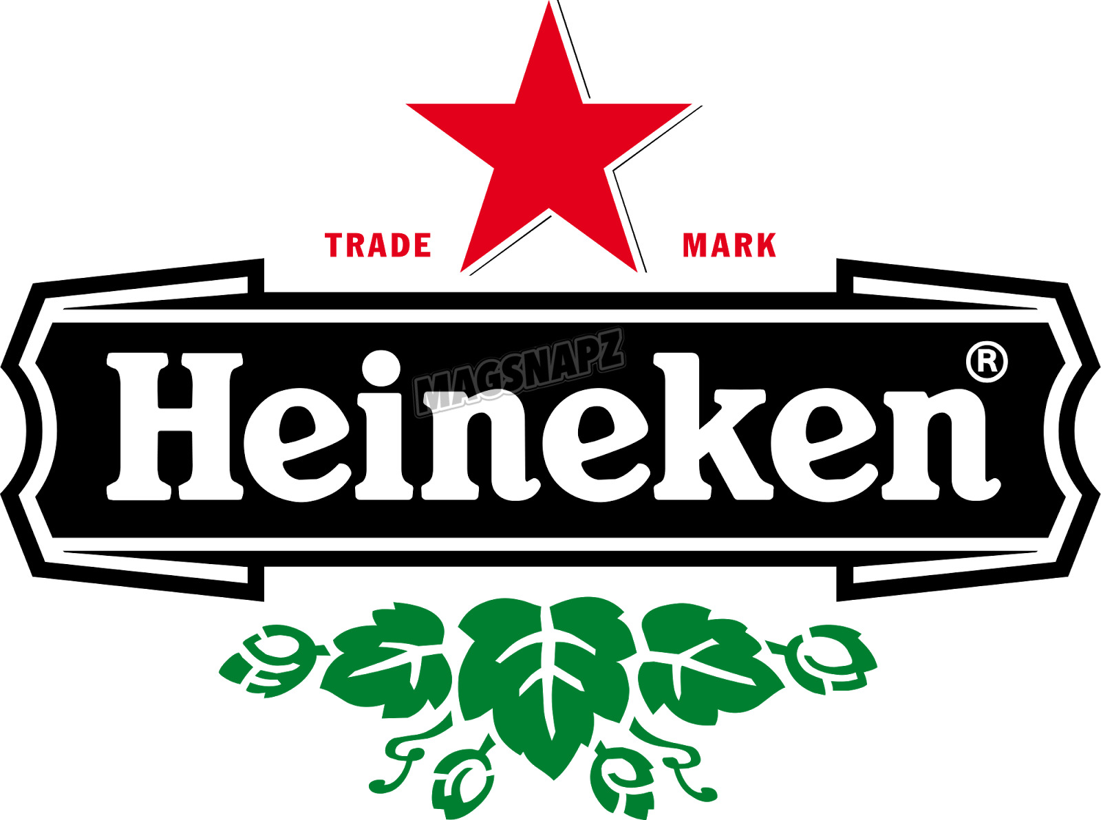 Heineken Beer Logo Glossy 4x6 Photo Fridge Magnet ToolBox Magnet 🍺
