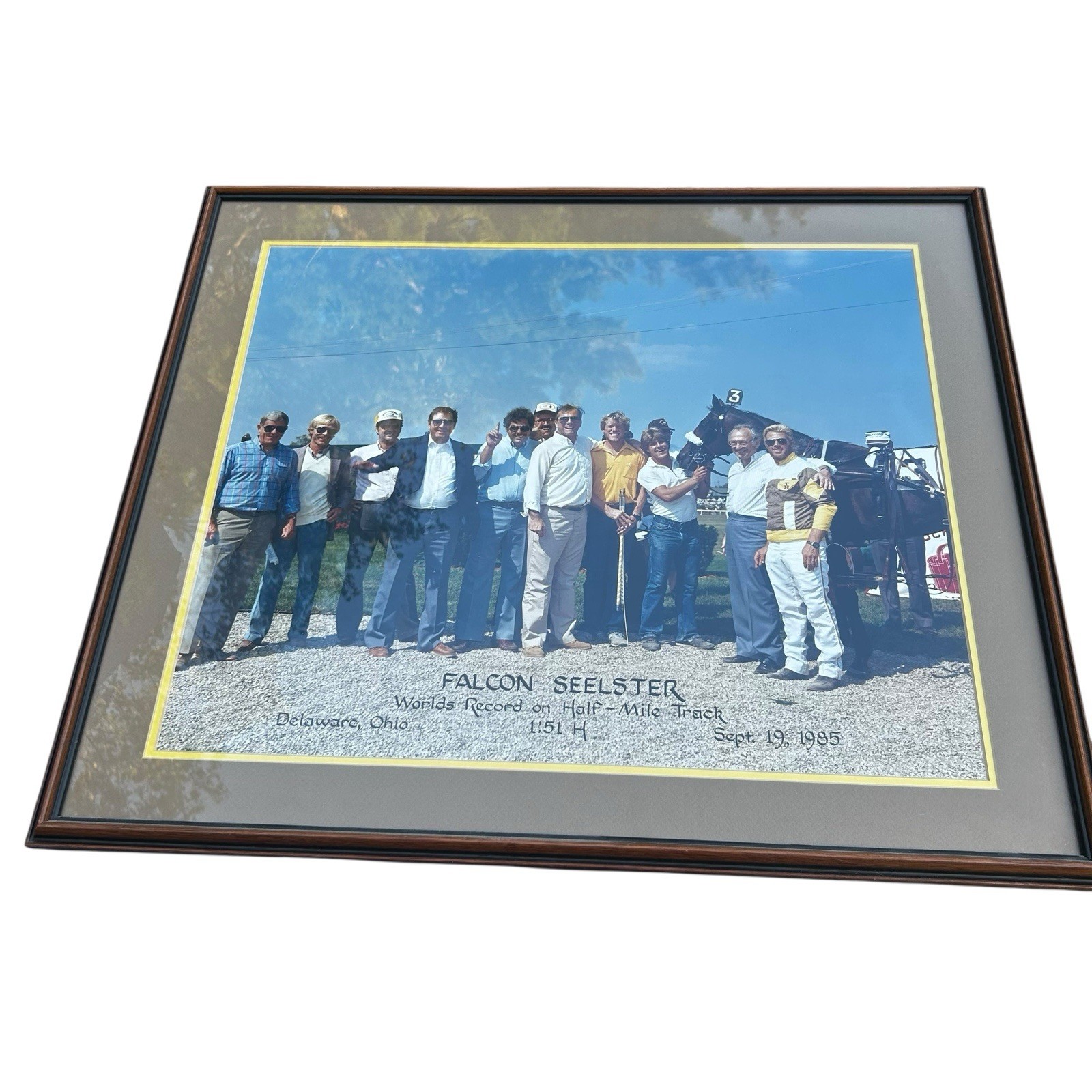 Original 1985 falcon seelster Horse Half Mile Record Holder Large Photo 25”X 29”