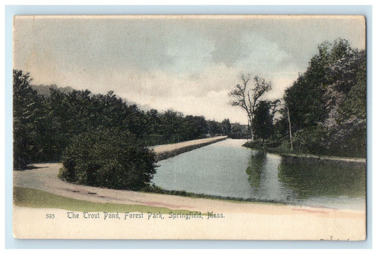 c1905s The Trout Pond Forest Park, Springfield, Massachusetts MA Postcard