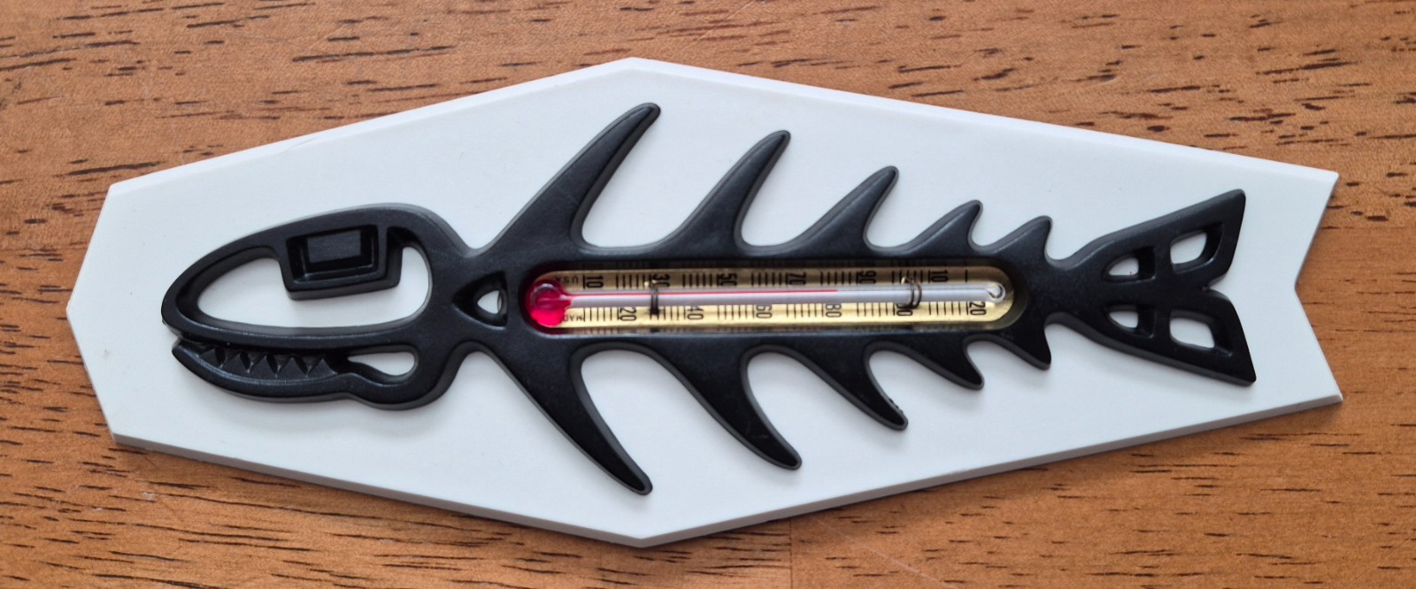 Vintage Fish Thermometer From St Labre Indian School, Very Nice, Not Yellowed
