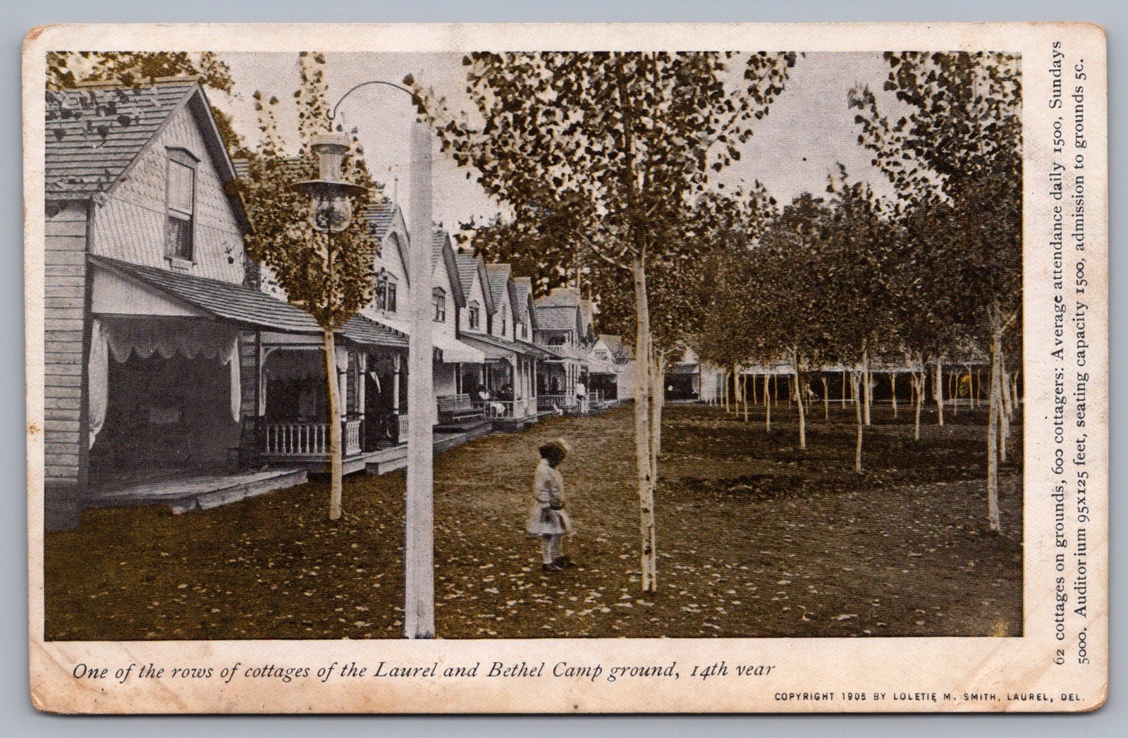 Rows of Cottages Laurel & Bethel Campground DE Delaware Postcard UDB R10