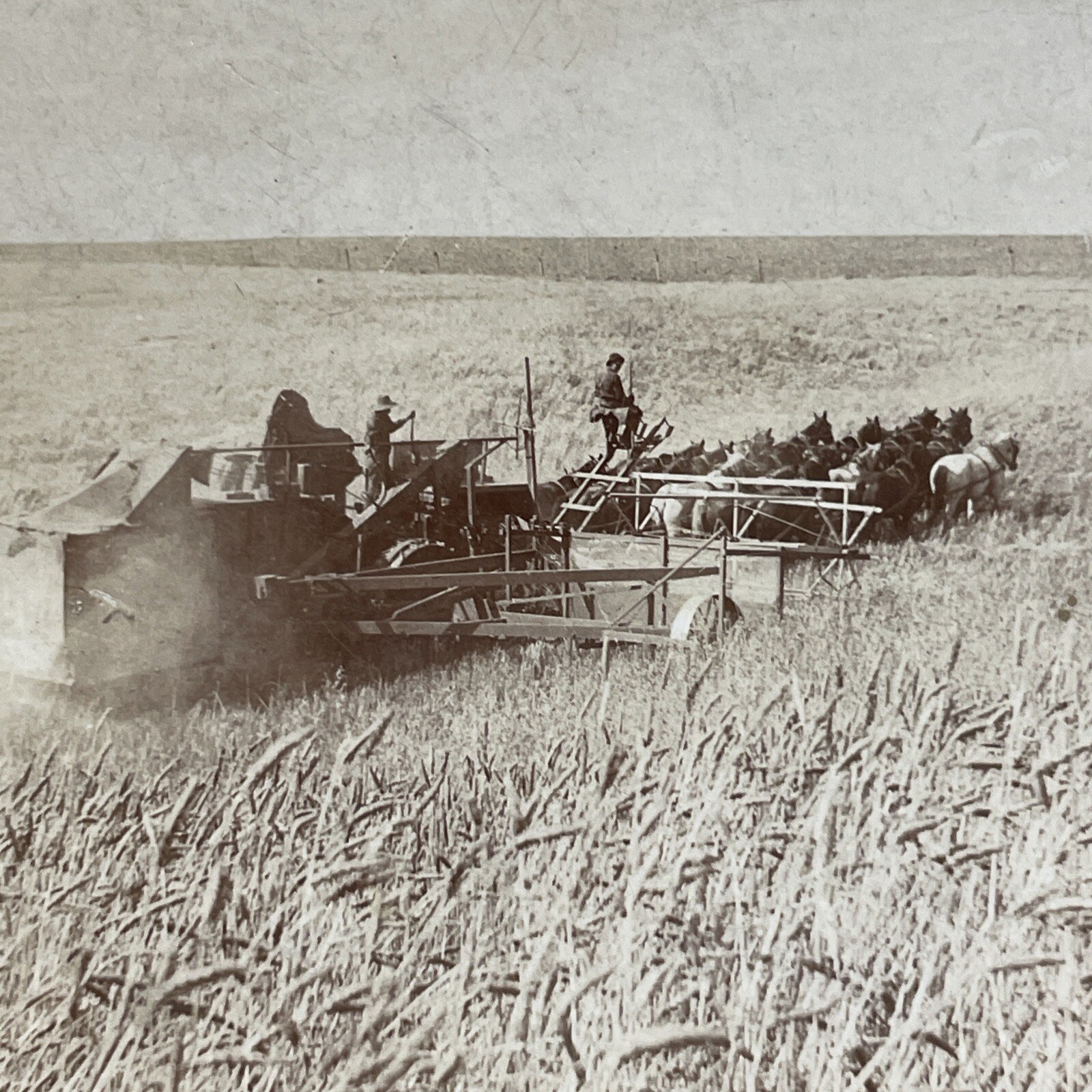 Wheat Harvest Stereoview Keystone View Co. 1901 Washington State Farming Wheat Harvest Stereoview Keystone View Co. 1901 Washington State Farming